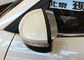 Χρωματισμένο πλευρικό καθρέφτη για την Hyundai Tucson 2015 προμηθευτής