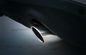 Audi Q5 2009 2013 ανταλλακτικά διακοσμήσεων, κάλυψη διέξοδος-σωλήνων ουρών ανοξείδωτου προμηθευτής